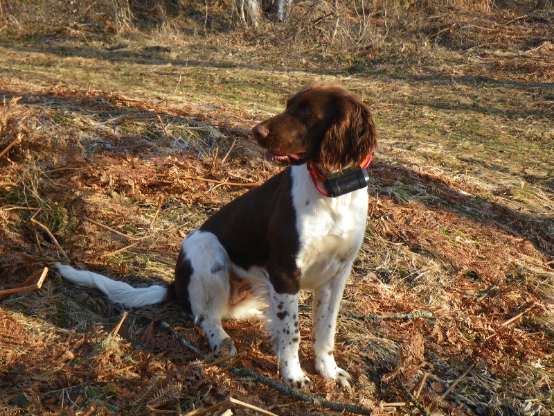 Hourga du val d'ourtiga